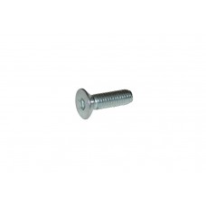 TPSCEI Screw 6 x 20