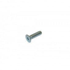 TPSCEI Screw 6 x 22