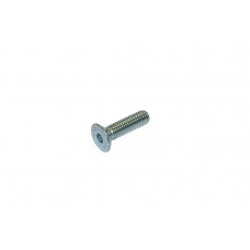 TPSCEI Screw 8 x 30